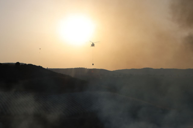 Manisa'da orman yangını