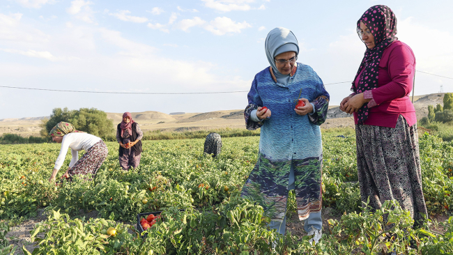 Emine Erdoğan, Ayaş'ta kadın çiftçilerle buluştu