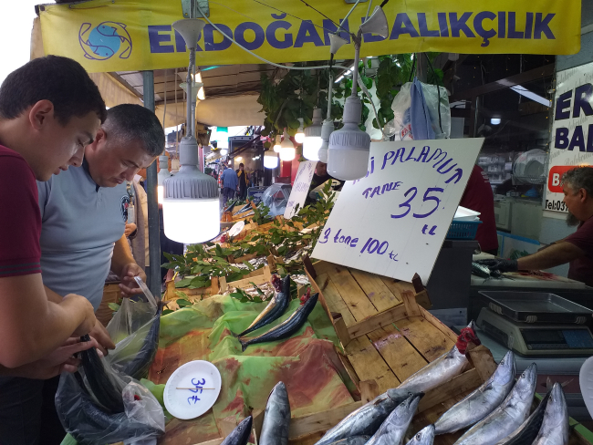 Zonguldak'ta palamut bolluğu: Fiyatlar düştü