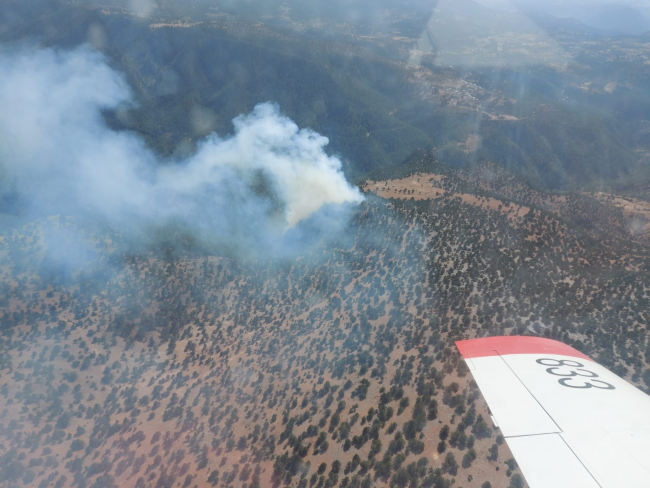 Adana'da çıkan orman yangını kontrol altına alındı