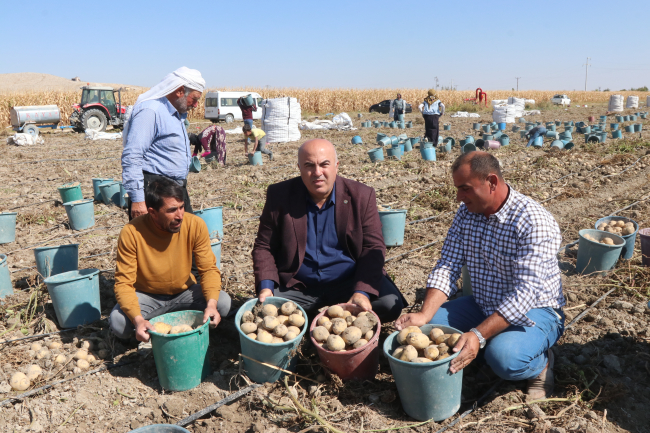 Karaman, cipslik patates üretimiyle ön plana çıkıyor