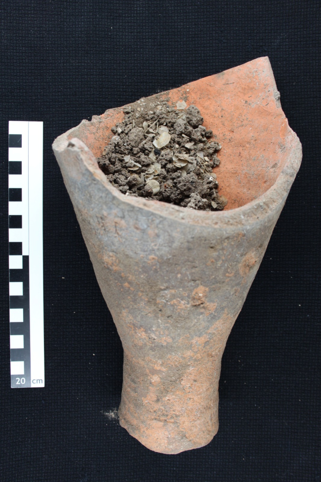 Assos kazısında bulunan bir amforada 1600 yıllık kılçık kalıntılarına ulaşıldı