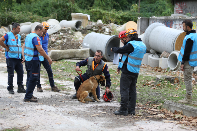 En hassas burunlu köpekler Sakarya'da belirleniyor