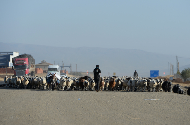 5 aydır yaylada olan göçerler dönüş yolunda