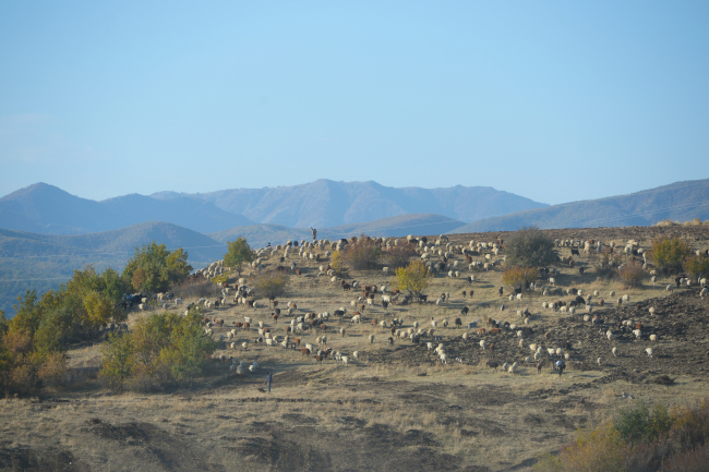 5 aydır yaylada olan göçerler dönüş yolunda