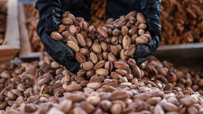 Ankara'da gastronomi festivali