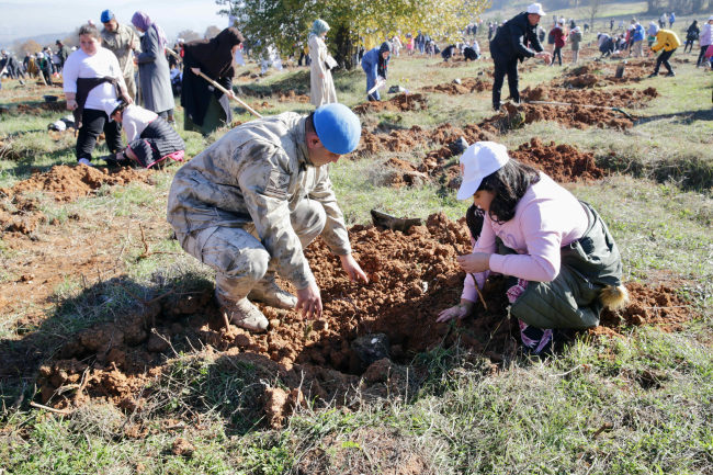 Bolu'da 43 bin 500 fidan toprakla buluşturuldu
