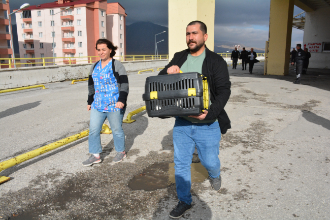 Bitlis'te sağlık çalışanlarının sahiplendiği kedi tedavi altına alındı