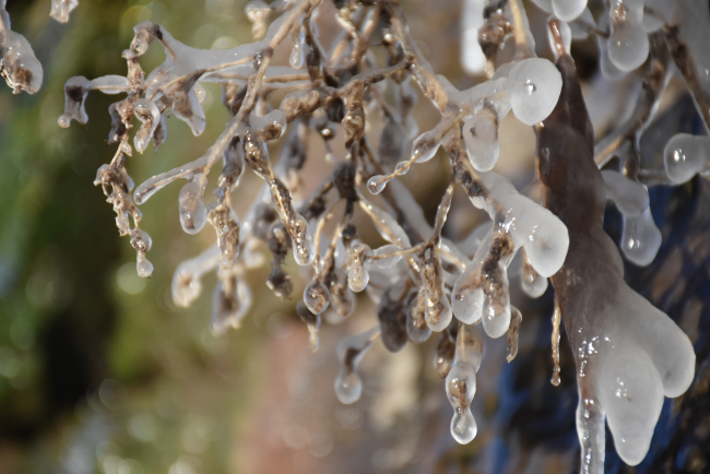 Kars'ta termometreler eksi 6 dereceyi gösterdi