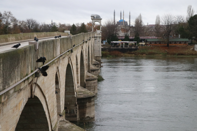 Yağışlar Meriç ve Tunca'nın debisini artırdı