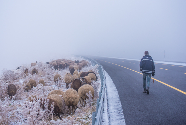 Kars'ta göçerlerin zorlu yolculuğu başladı
