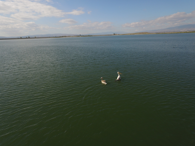 Yedikır Barajı 230 kuş türüne ev sahipliği yapıyor