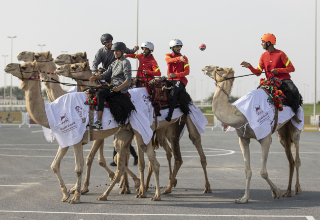 Katar'da develer üzerinde hentbol maçı oynandı