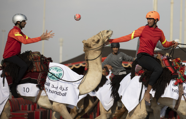 Katar'da develer üzerinde hentbol maçı oynandı