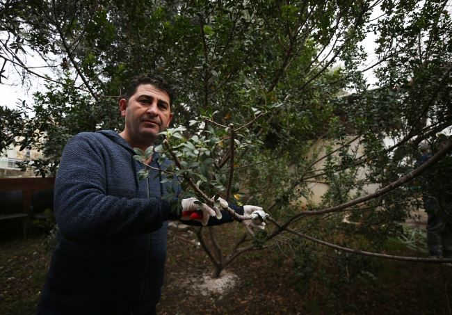 Gökçeada'da tarımsal ürün çeşitliliği artırılıyor