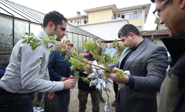 Gökçeada'da tarımsal ürün çeşitliliği artırılıyor