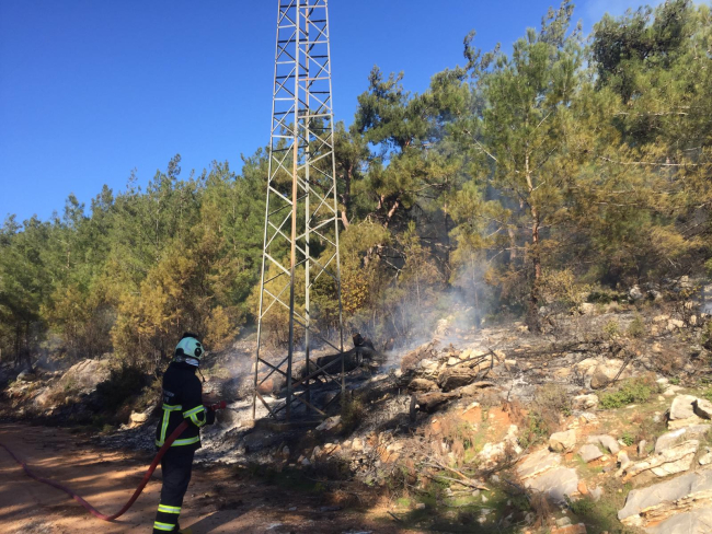 Muğla'daki orman yangını kontrol altına alındı