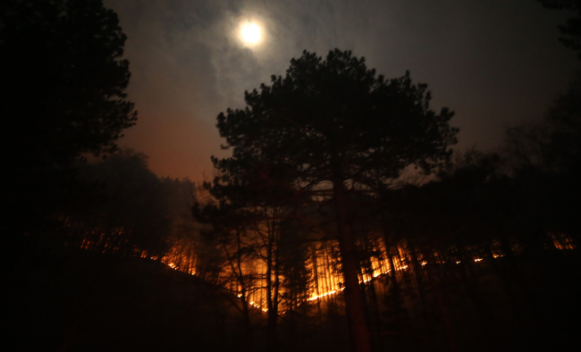 Kaz Dağları''nda çıkan örtü yangınına ekiplerce müdahale ediliyor