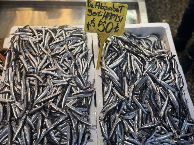 Hamsinin kilogramı 35 liradan satılıyor