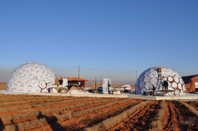 Kahramanmaraş'ta lavanta tarlasına "Arı Müzesi"