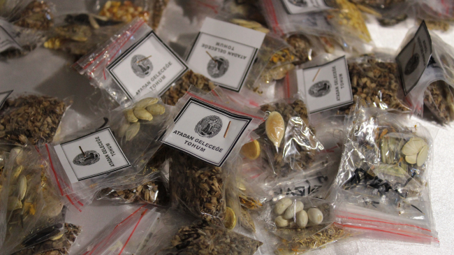 Konya'da "Ata Tohumu Takas Şenliği"