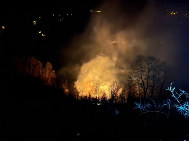 Sakarya'da kontrol altına alınan orman yangını yeniden başladı