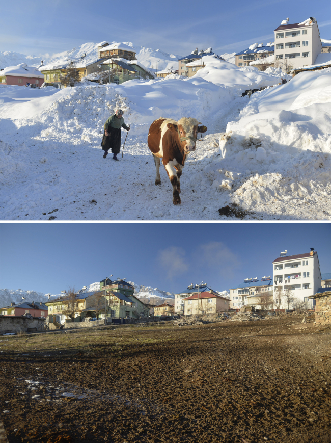 Geçen yıl karla kaplı Ovacık'ta en kurak kış yaşanıyor