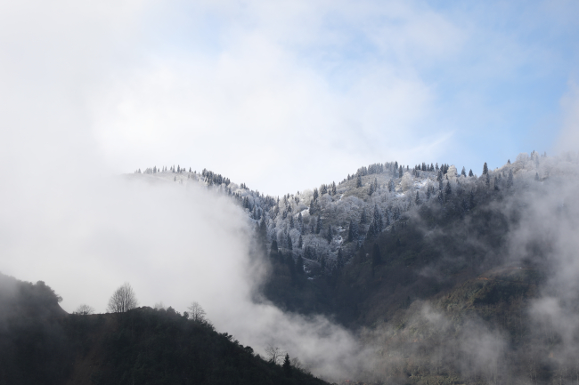 Rize'de yüksek kesimlere kar yağdı