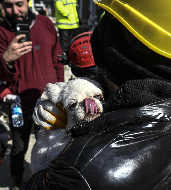 Ekipler 'Sesimi duyan var mı?' dedi, enkaz altındaki köpek havlayarak cevap verdi