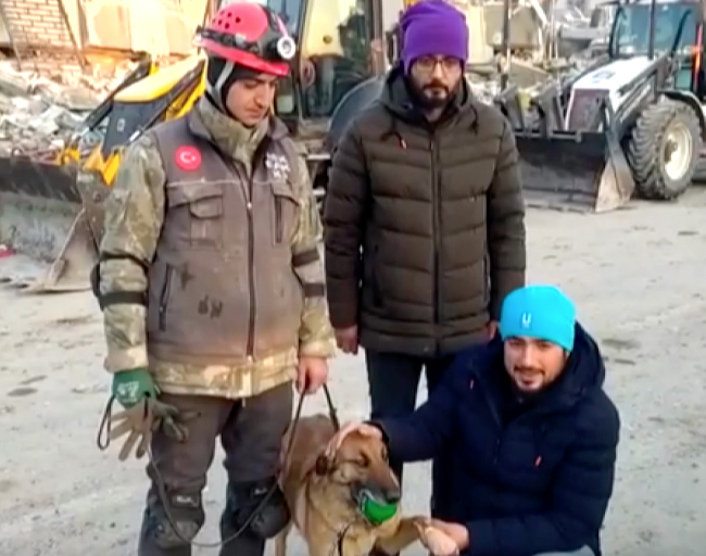 Arama-kurtarma köpeği Sıla enkazlardan 12 kişinin kurtarılmasını sağladı