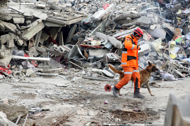 Hassas burunlu köpek 'Alfa' depremzedelere umut oldu
