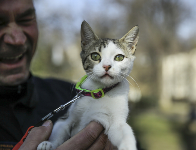 Bosna Hersek arama kurtarma ekibinden Spahovic, Hatay'da sahiplendiği kediye "Aleyna" ismini verdi
