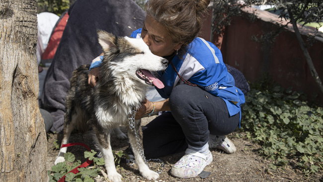 "Aleks" depremin 22. gününde canlı kurtarıldı