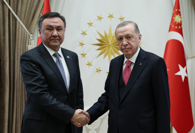 Cumhurbaşkanı Erdoğan, Litvanya Cumhurbaşkanı ile görüştü
