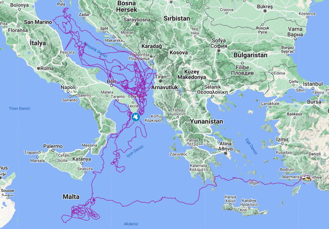 "Caretta Caretta Tuba" 20 bin kilometre yol gitti