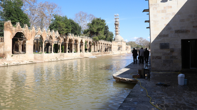 Balıklıgöl'deki balıklar yeniden görülür hale geldi
