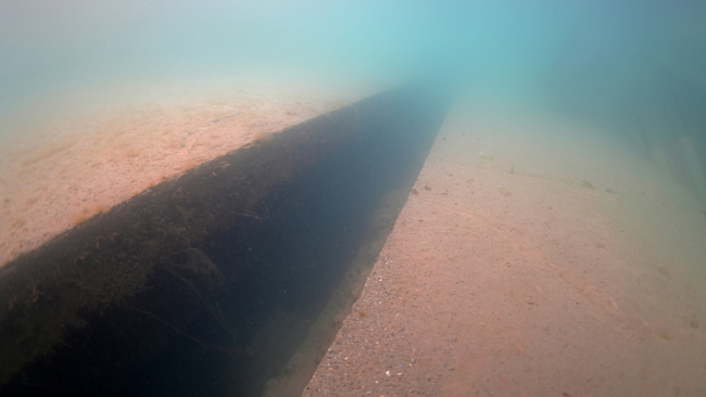 Depremin etkileri su altında görüntülendi