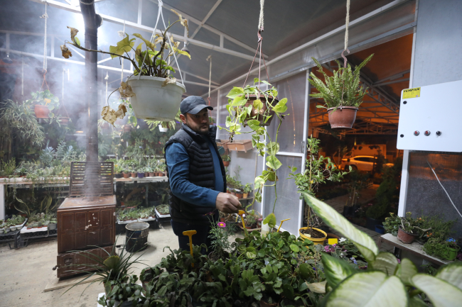 Edirne'de üreticiler "Balkan soğuğuna" karşı seralarda sobalı önlem aldı