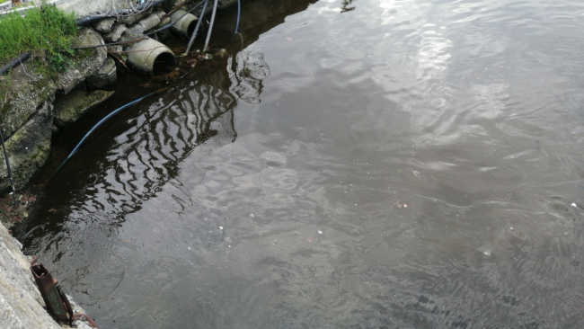 Menekşe Deresi'nin rengi değişti