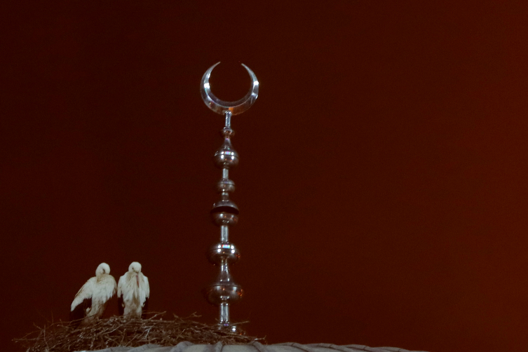 İstanbul'da caminin kubbesi 11 yıldır leyleklerin yuvası