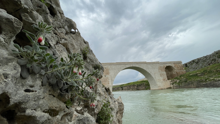 Adıyaman'daki tarihi Kızılin Köprüsü depremde zarar görmedi