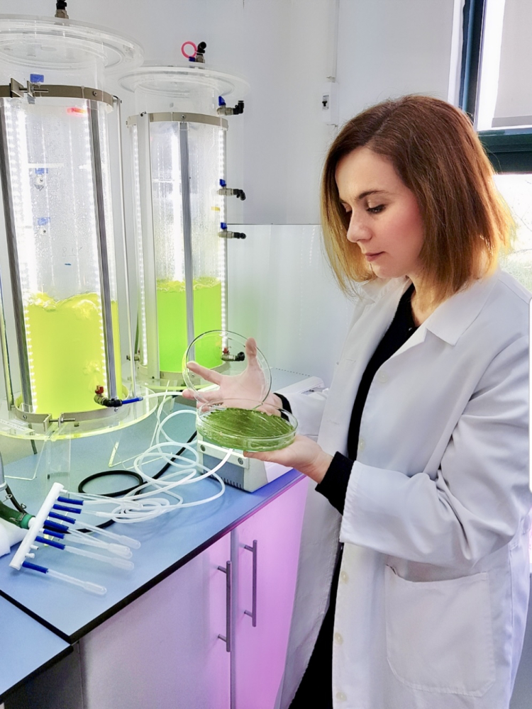 Microalgae brought from Antarctica to be used in space studies
