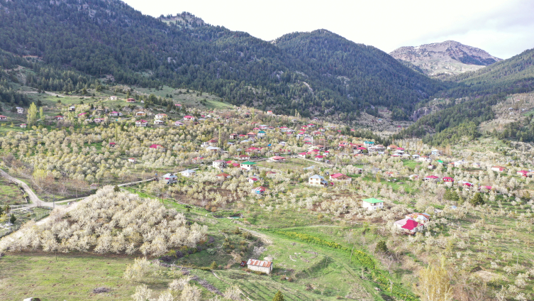 Kahramanmaraş baharın renklerine büründü