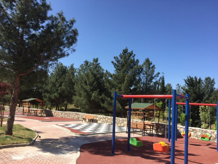 'Millet ormanı' sayısı bu yıl 19'a çıkacak