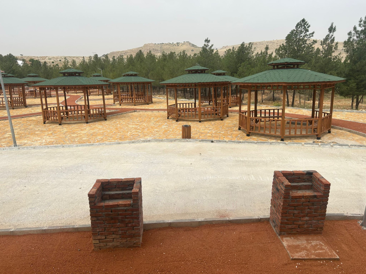 'Millet ormanı' sayısı bu yıl 19'a çıkacak