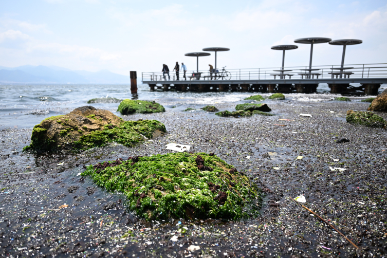 İzmir Körfezi için kirlilik uyarısı: Müsilaj şiddetini artırıyor