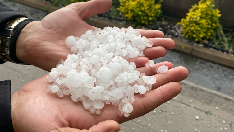 Hekimhan'da dolu yağışı tarım arazilerini vurdu