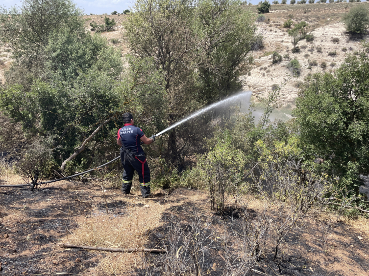 Kilis'te arazide çıkan yangın söndürüldü