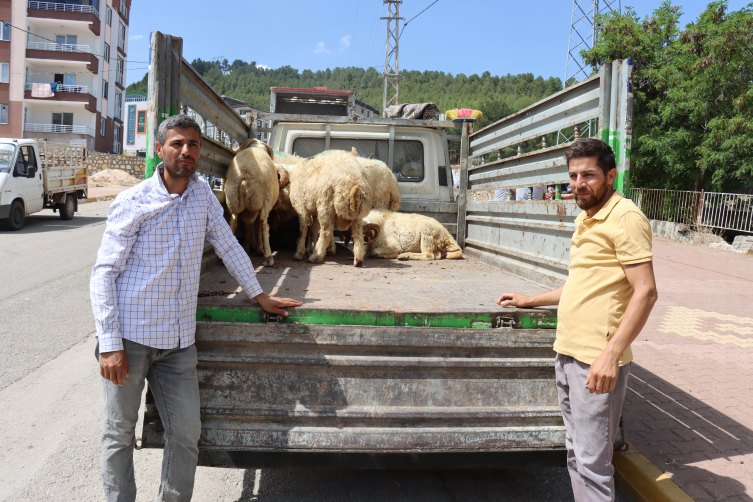 Adıyaman'da depremzede hayvancılara destek