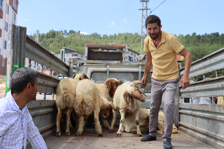 Adıyaman'da depremzede hayvancılara destek